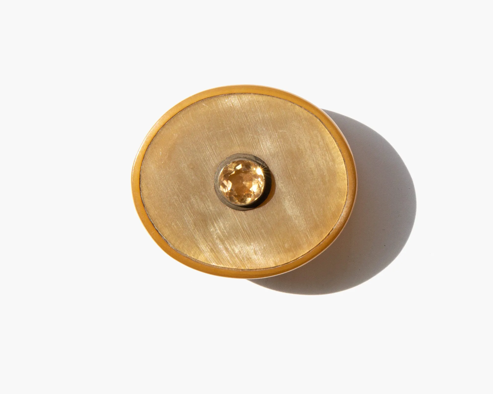 Beauval Bone Box