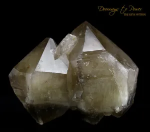 Citrine Tantric Twin Quartz ET Record Keeper Crystal Specimen