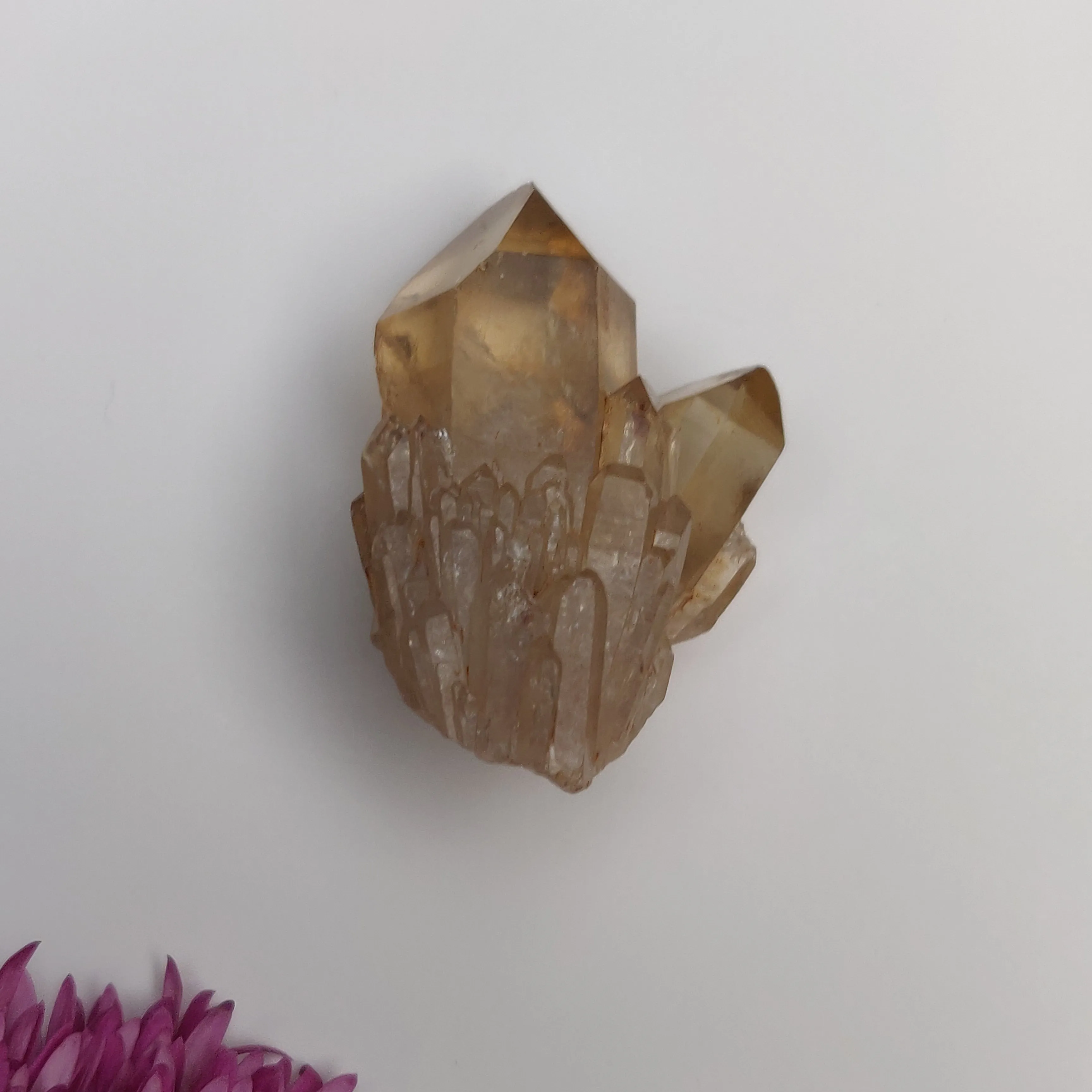 Congo Citrine Point (#8)