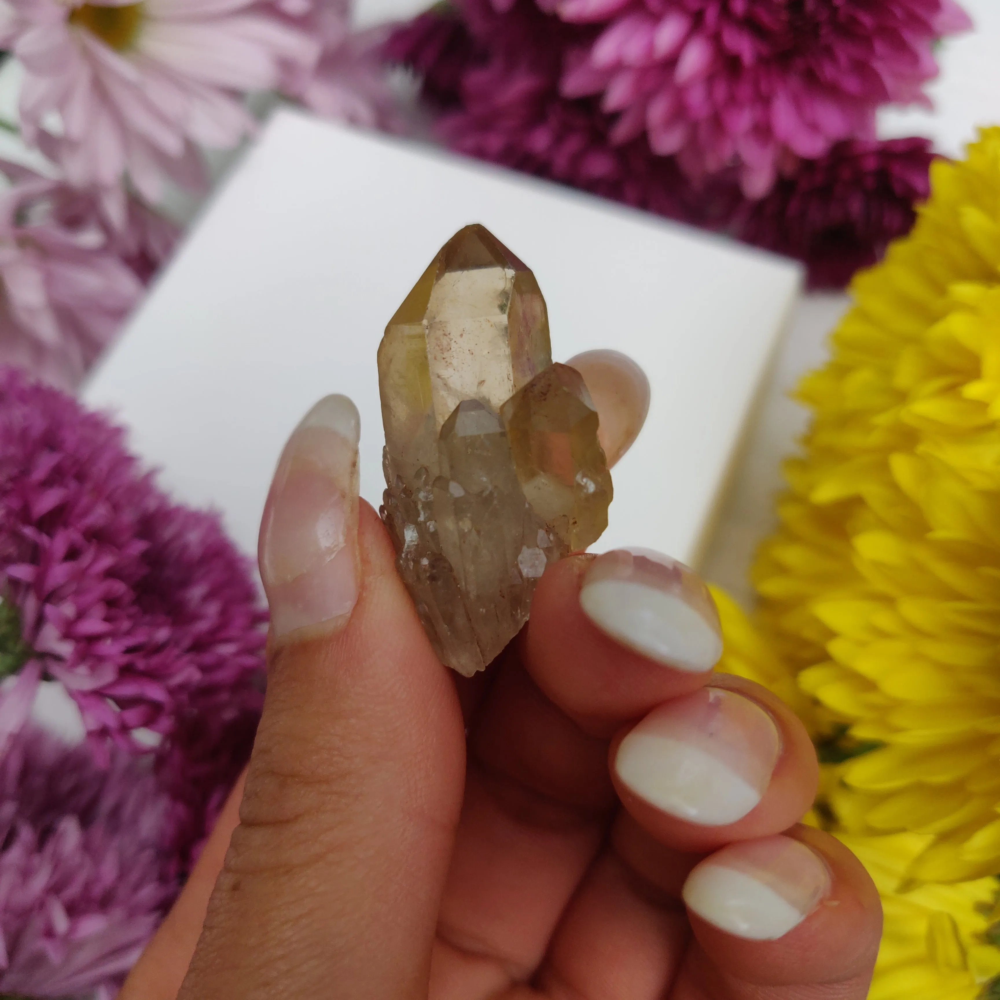 Congo Citrine Point (#8)