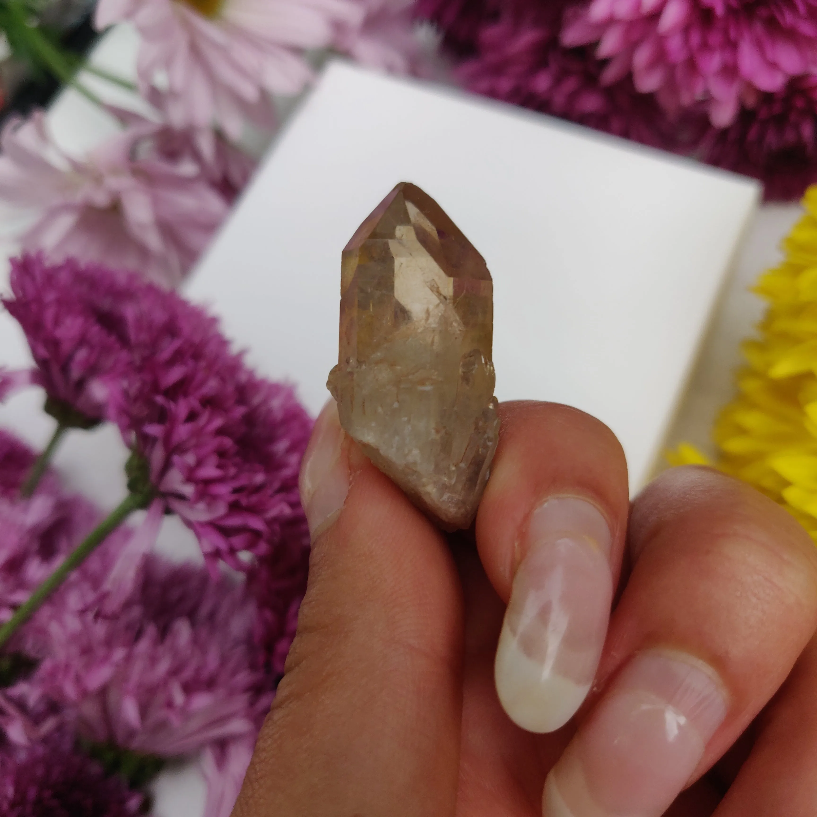 Congo Citrine Point (#8)