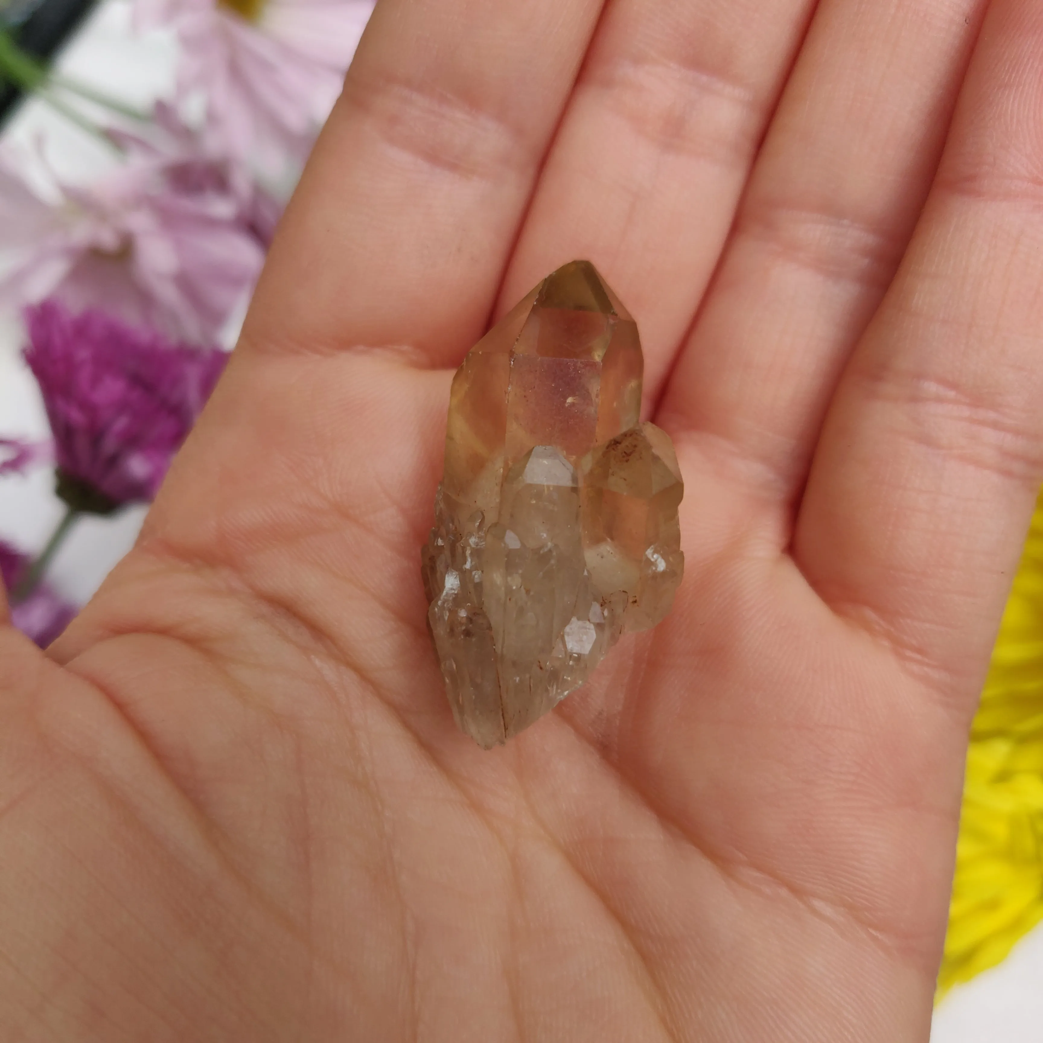 Congo Citrine Point (#8)