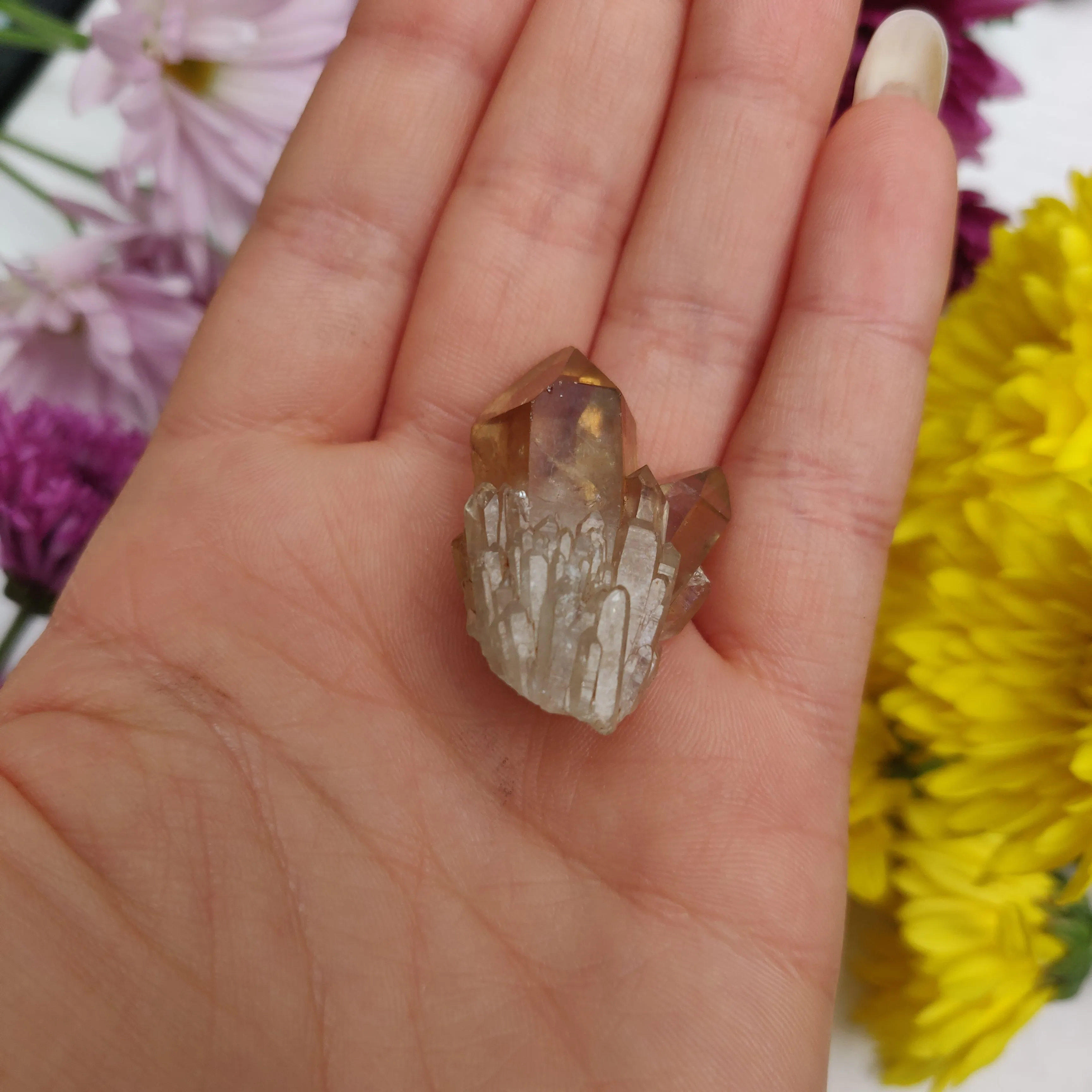 Congo Citrine Point (#8)