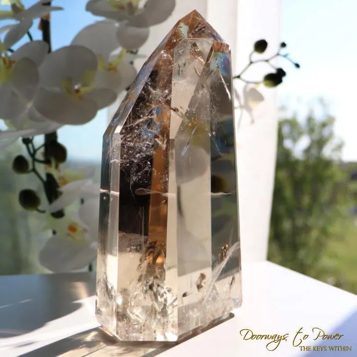 Natural Citrine Crystal Point & Abundance Stone 'Museum Quality'