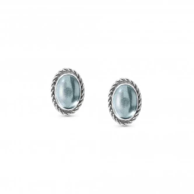 Oval Rich Stone Light Blue Topaz Earrings 027800/025