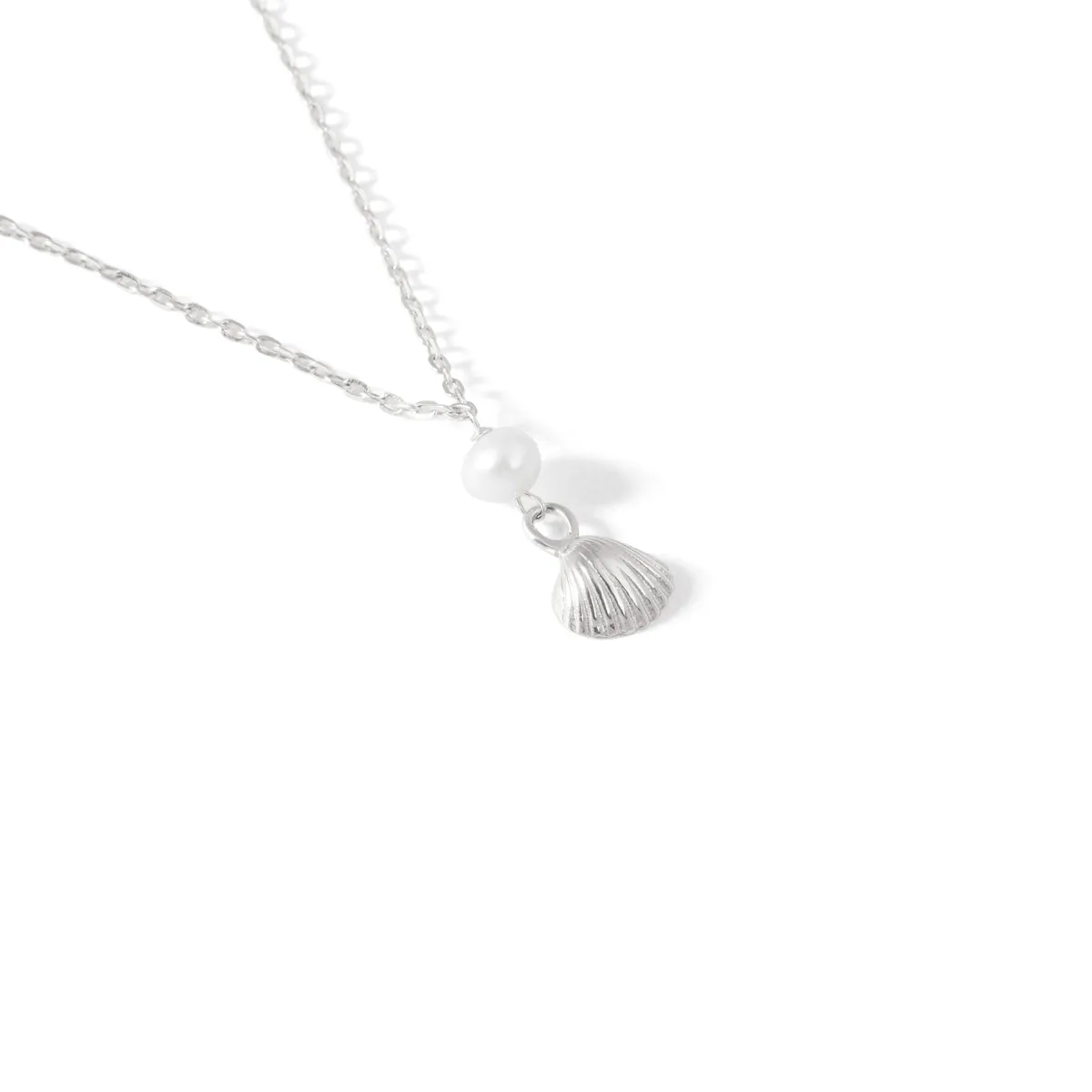 Seashell Chain Necklace